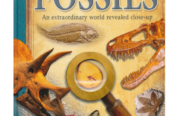 viewfinder: fossils viewfinder: fossils