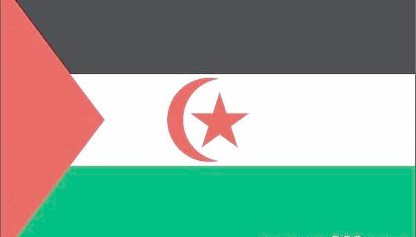西撒哈拉國旗