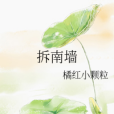 拆南牆 拆南牆