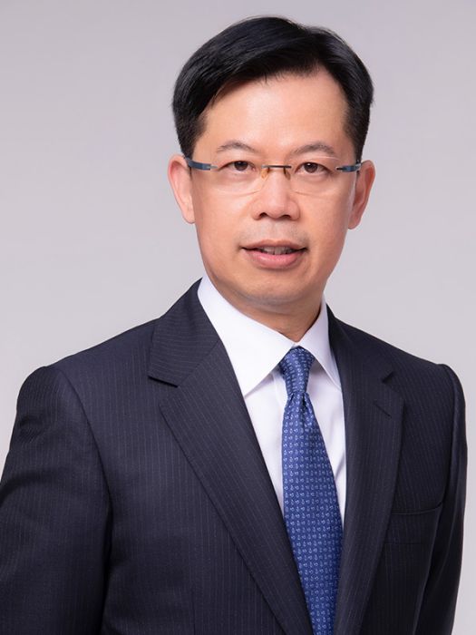 陳振英(第十四屆全國人大代表,香港特區立法會財委會主席) 陳振英(第十四屆全國人大代表,香港特區立法會財委會主席)