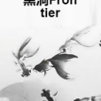 黑洞Frontier 黑洞Frontier