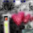 只在乎你(小說) 只在乎你(小說)