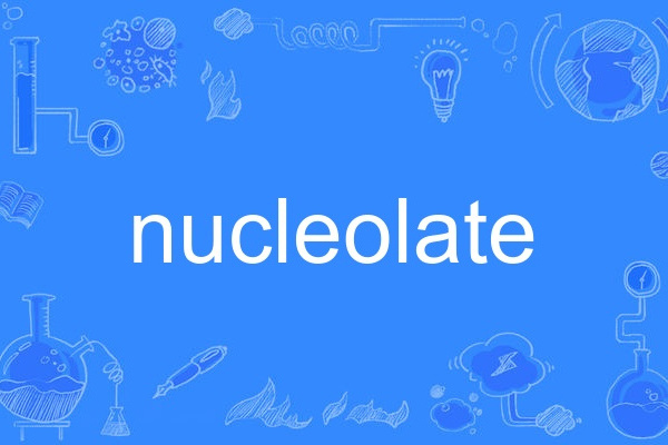 nucleolate nucleolate
