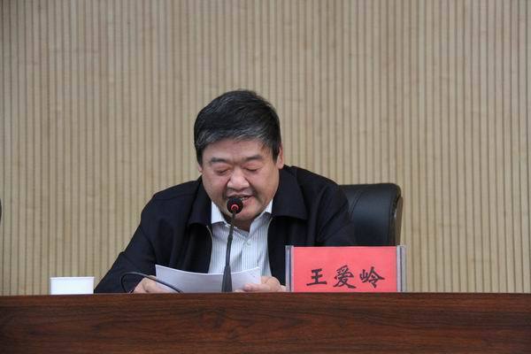 王愛嶺 王愛嶺