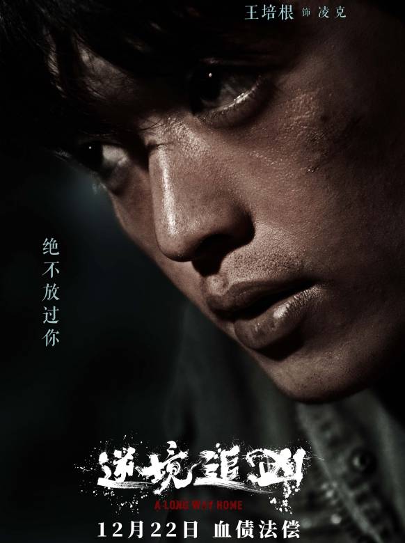 逆境追兇 逆境追兇