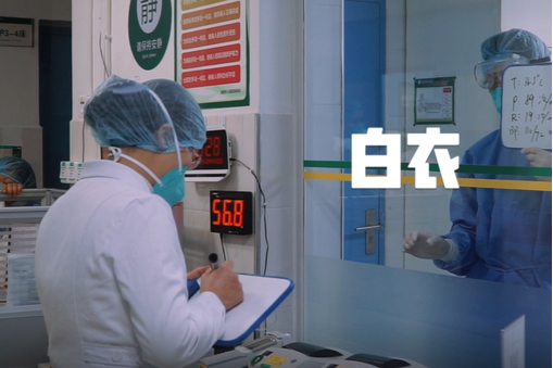 白衣(張錦崎、劉揚的原創歌曲) 白衣(張錦崎、劉揚的原創歌曲)