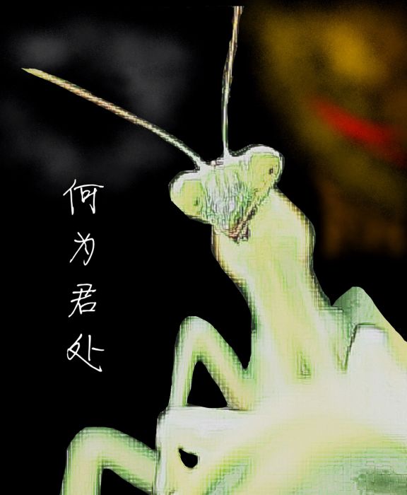 何為君處
