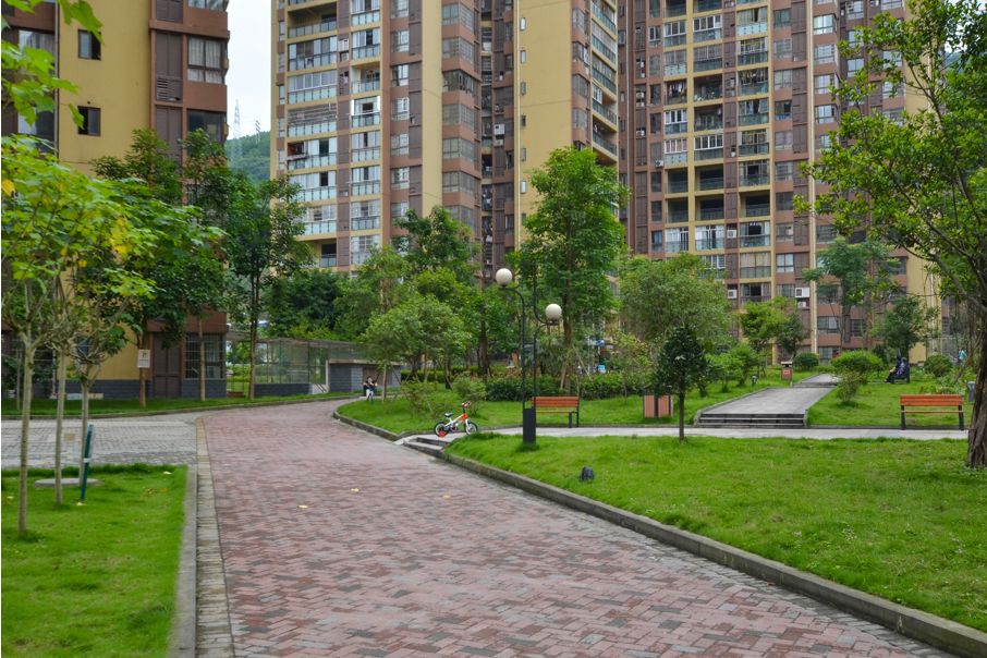 加洲國際 加洲國際