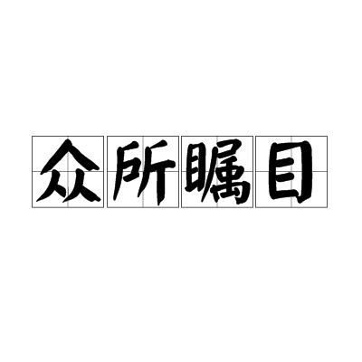 眾所矚目 眾所矚目