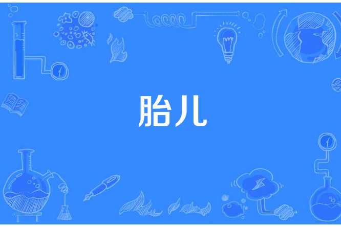 胎兒(生物學概念)