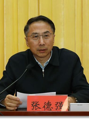 張德強(天津市委巡視組原正局級巡視專員) 張德強(天津市委巡視組原正局級巡視專員)