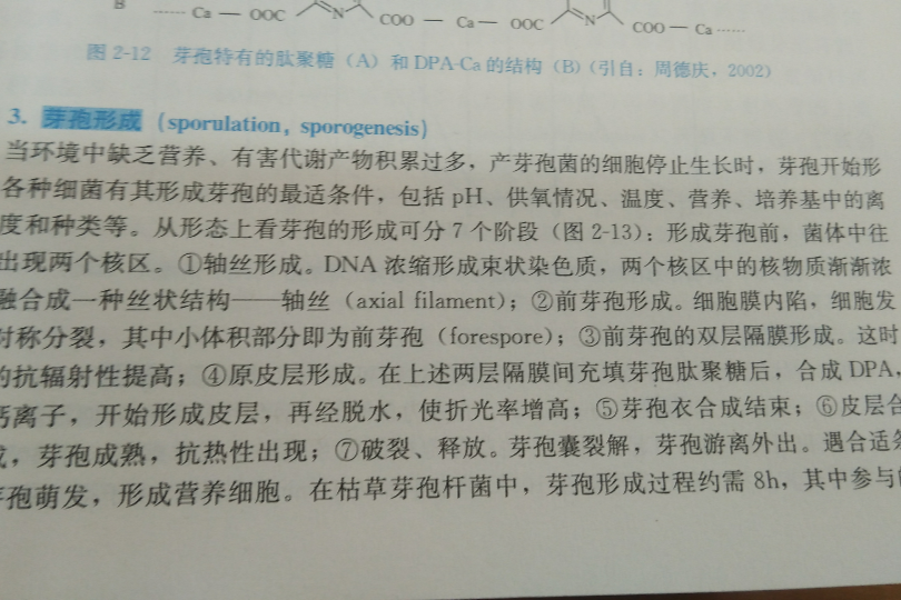 軸絲 軸絲