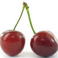 Cherry(英文單詞)