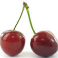 Cherry(英文單詞) Cherry(英文單詞)