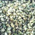 邵伯老菱 邵伯老菱