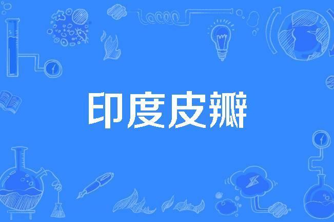 印度皮瓣 印度皮瓣