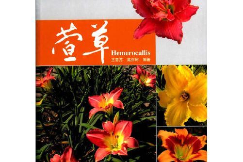 萱草(中國林業出版社2014年7月出版的書籍) 萱草(中國林業出版社2014年7月出版的書籍)