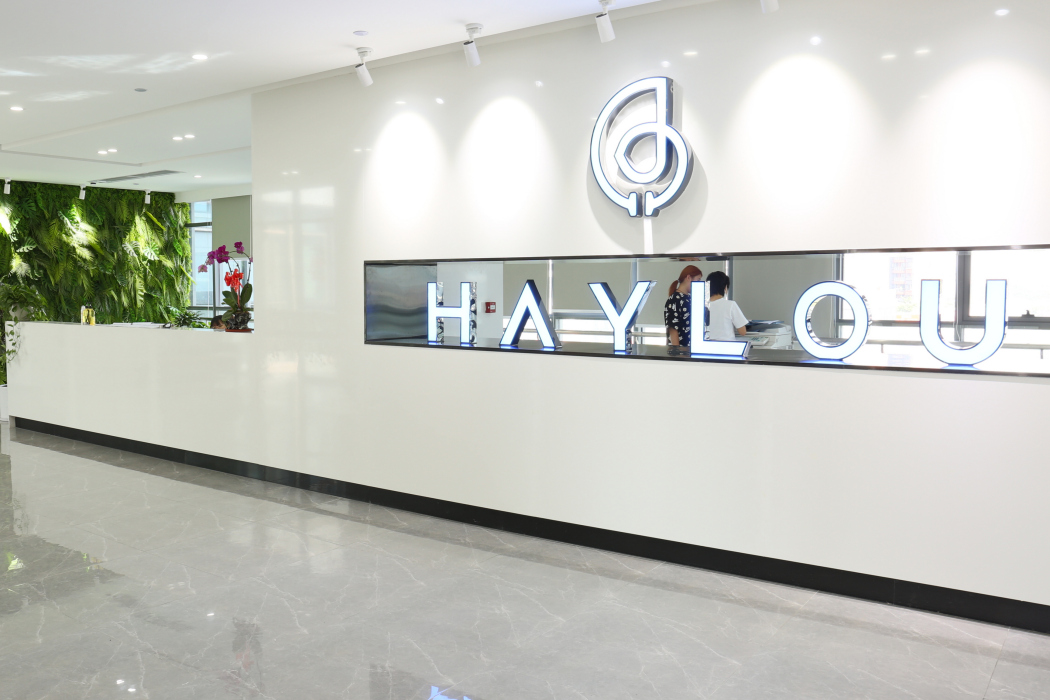 Haylou Haylou