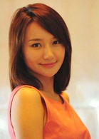 離婚律師(2014年吳秀波姚晨主演內地電視劇)