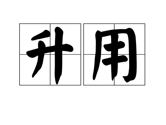 升用 升用