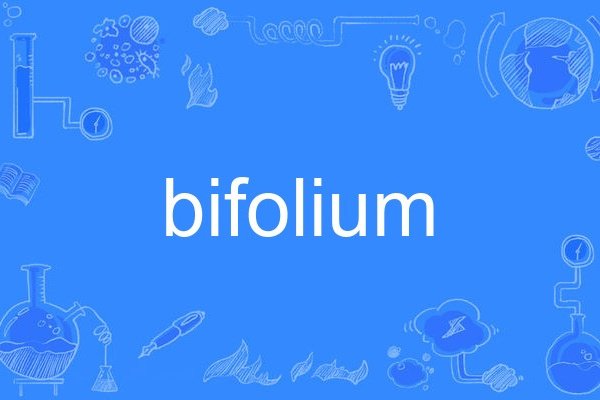 bifolium bifolium