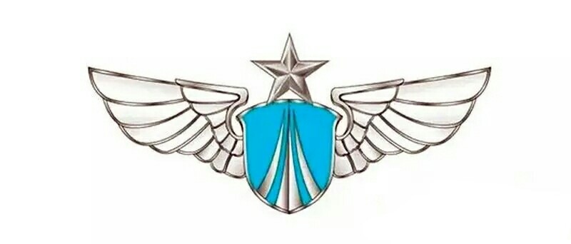 空軍胸標