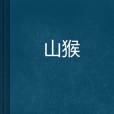 山猴 山猴