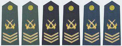陸海空軍六級士官肩章(2007—)