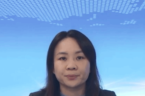 吳曉佳(中央財辦經濟十局副局長) 吳曉佳(中央財辦經濟十局副局長)