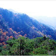俗離山 俗離山