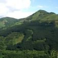 曼閣村 曼閣村