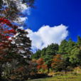 六甲山 六甲山
