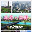 迎澤區