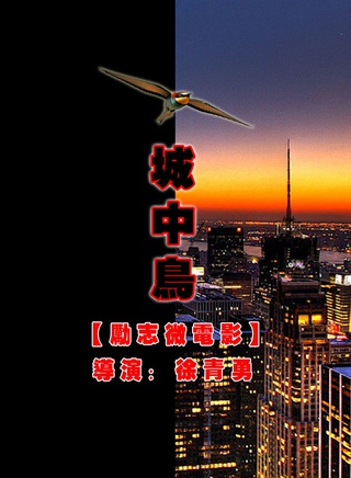 城中鳥 城中鳥