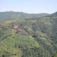 尼洛簸村 尼洛簸村