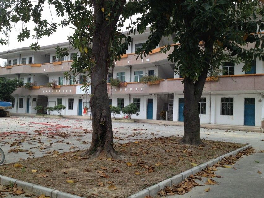 公安國小 公安國小