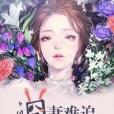 囧妻難追