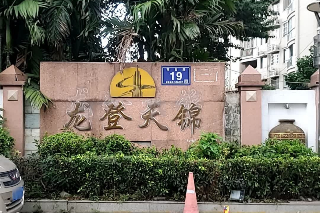 龍登天錦