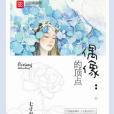 偶像的頂點 偶像的頂點
