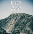 願望清單(美國2008年蘭迪·梅耶姆·辛格執導電影) 願望清單(美國2008年蘭迪·梅耶姆·辛格執導電影)