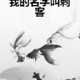 我的名字叫刺客 我的名字叫刺客