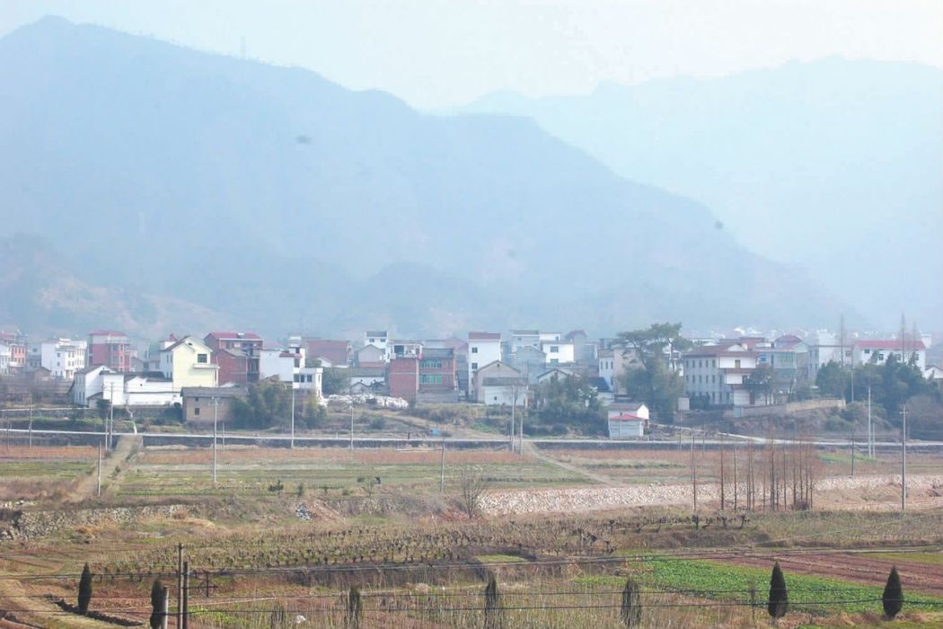 全塘口村 全塘口村