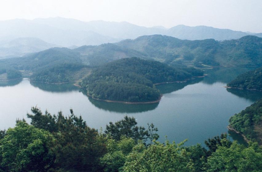 湖北丹江口庫區濕地省級自然保護區