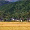 大寧口村 大寧口村
