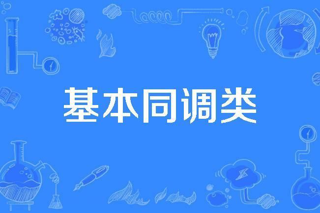 基本同調類