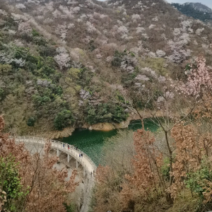 天平山水庫