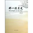 那一抹月光 那一抹月光