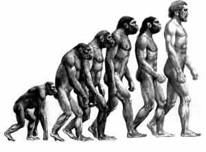 人類的進化，從臘瑪古猿到現代人