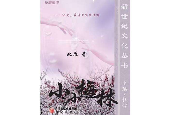 小小梅林 小小梅林