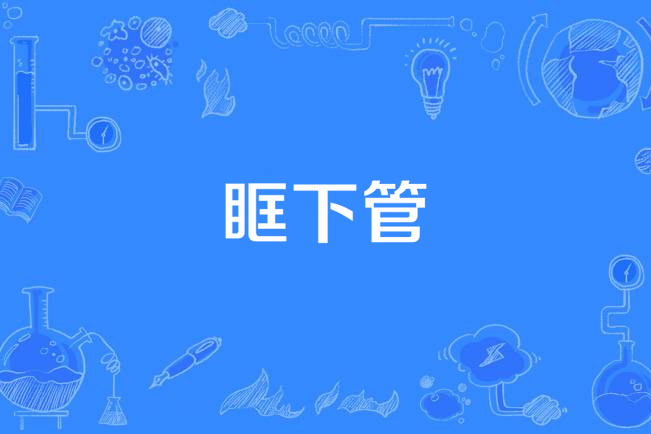 眶下管 眶下管